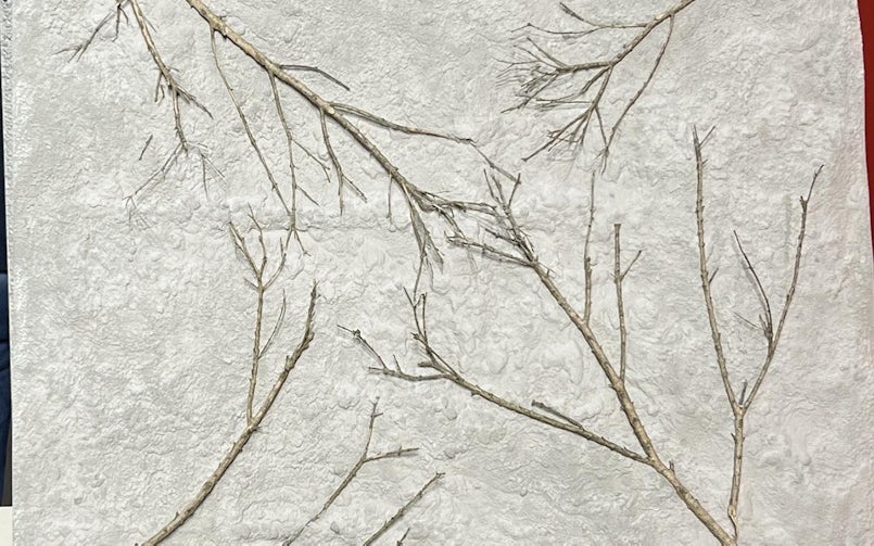 Takken die in de mal zijn meegegoten, hechten zich aan het beton en verweren langzaam tot een natuurlijk reliëf. (foto: Tektoniek)