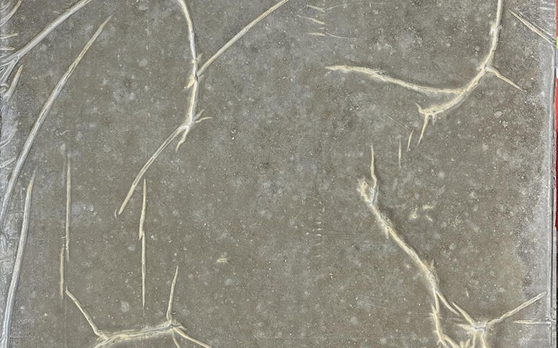 Een takkenstructuur onder plastic folie laat een subtiele, vervaagde afdruk achter in het beton. (foto: Tektoniek)