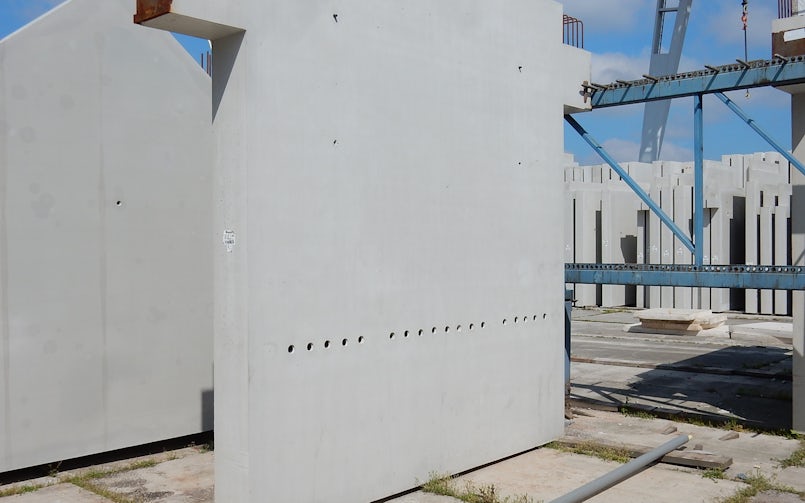 … maar de blauwkleurig verdwijnt vanzelf (foto: Peter de Vries)