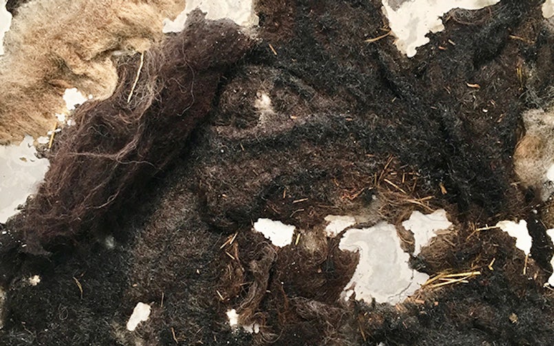 Boerenbeton, duurzame bindmiddelen zoals wol.