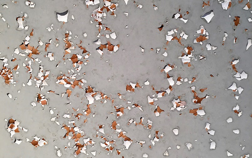 Boerenbeton, duurzame bindmiddelen zoals eierschalen.