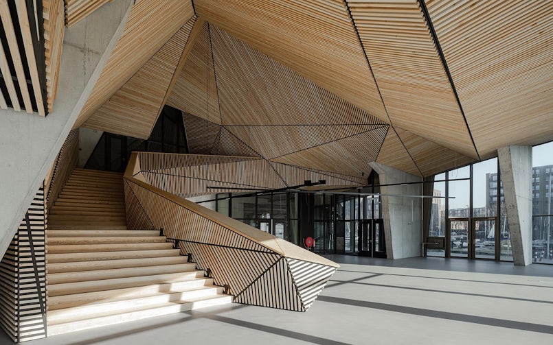 De betonnen ribbenstructuur is afgetimmerd tot een geborgen structuur voor de ‘woonkamer’ (foto: Sebastian van Damme)