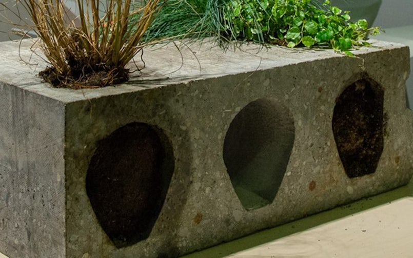 Door de holle kanalen van een kanaalplaat te vullen met aarde en gaten aan de bovenzijde te maken, ontstaat een vloerveld waaruit planten kunnen groeien, foto door bureaubakker