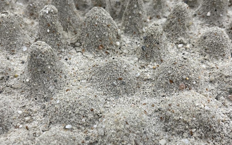 Een ruwere textuur bevordert hechting van begroeiing aan het betonoppervlak. (foto: Tektoniek)
